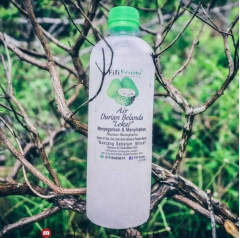 FIFI FRUITY ENTERPRISE